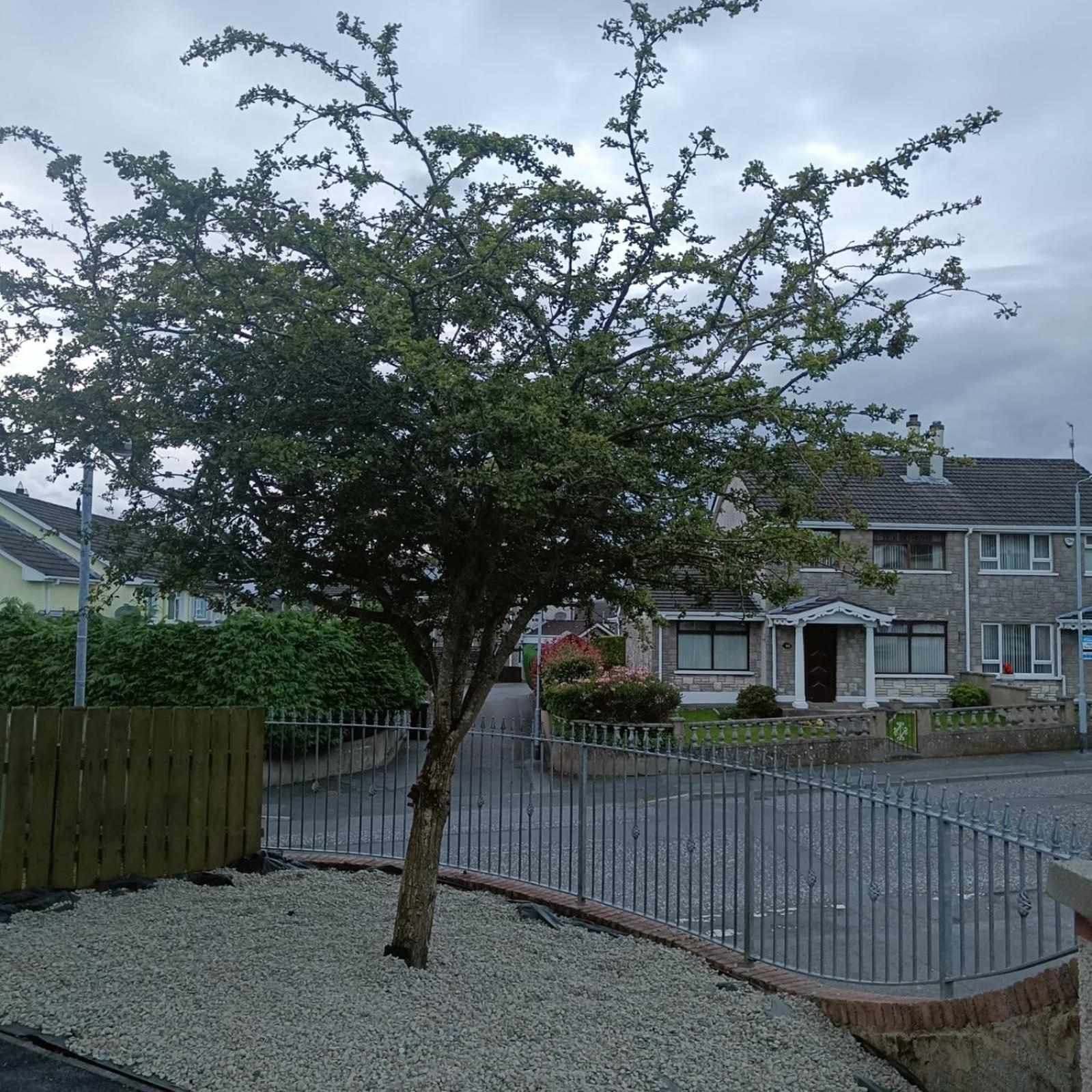 Bluebell House Villa Newry Exterior photo